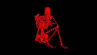 Lund Skin Bones  Lund Skin Bones