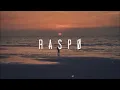 Rag'n'Bone Man - Skin (Raspo Remix)
