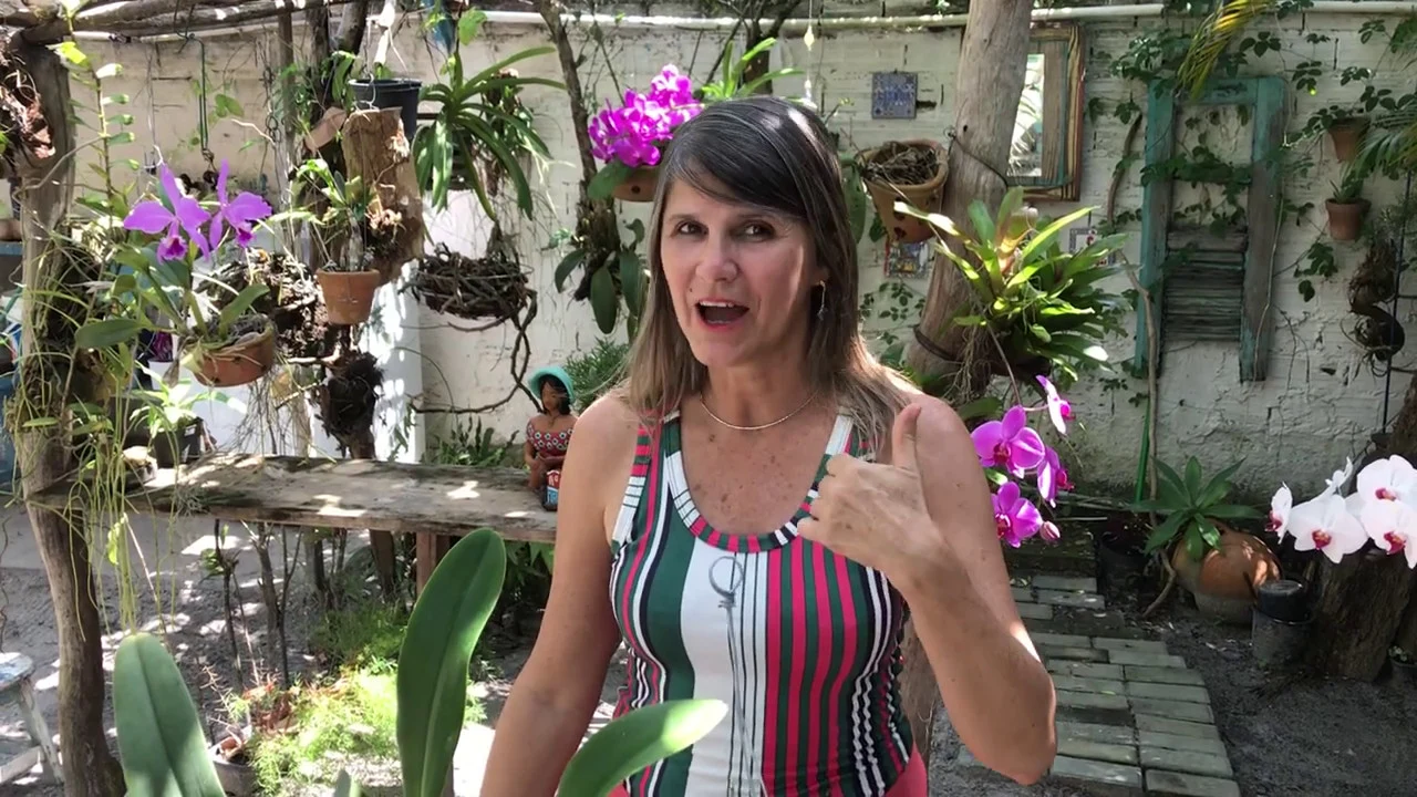 5 TIPOS DE ORQUÍDEAS PARA VOCÊ TER EM CASA