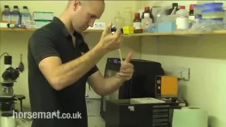 how semen is processed from a stallion mp4