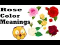 Rose Colors Have Hidden Meanings Discover the Symbolism Behind Each Shade
