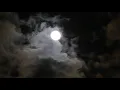 ASMR STORYTIME - Code Adam