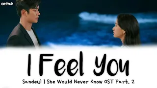Download [Sub Indo] Sandeul – I Feel You | She Would Never Know OST Part 2 Lirik MP3