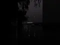 Download Lagu Death Bed - Powfu (Coffee for Your Head ) | lyrics | aesthetic | whatsapp Status | slowed | speed up