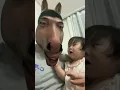Download Lagu Daddy Donkey Song #shorts