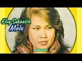 Malu _ Elvy Sukaesih