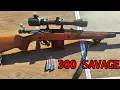 The 300 Savage - Revolutionary but Ignored