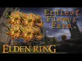 Erdleaf Flower Farm - Elden Ring Guide