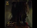 Thundercat   Funny Thing Extended Video (perfect editing)