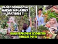 Download Lagu PANEN LECHY,KELENGKENG,BUAH MENTENG,BUAH NAGA,NAMGKA SEPUASNYA, GRATIS‼️PERKEBUNAN HONGKONG 