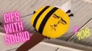 Gifs with Sound