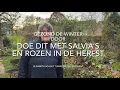 GEZOND DE WINTER DOOR: DOE DIT MET SALVIA’S EN ROZEN IN DE HERFST