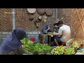 Download Lagu Masak sayur fresh tiap hari dari kebun,tumis ayam sawi ijo,telur dadar kacang panjang,masakan desa