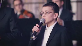 Душа моя стремится Удивительное исполнение Шулэйм Лэммер и Шулэйм Бродт 