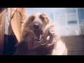 Myth Syzer (Ft. Bonnie Banane, Ichon & Muddy Monk) - Le Code (Official Video)