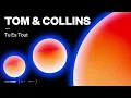 Tom & Collins - Tu Es Tout (Official Audio)