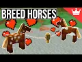How to Breed Horses in Minecraft All Versions