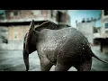 Leo Sayer - "You Make Me Feel Like Dancing" (Official Lyric Video)