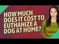 How much does it cost to euthanize a dog at home