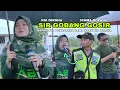 Lagu Lagu Dangdut Terbaik 2024 || SIR GOBANG GOSIR || Versi Kecimol NIA DIRGHA Aransemen IRAMA DOPANG