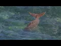 Download Lagu Plus Size Water Patrol - Uluwatu, 20 August 2020