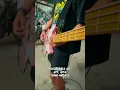 Download Lagu Tabola Bale Silet Open Up Pop Punk Cover by Boedak Korporat #cover #coversong #music