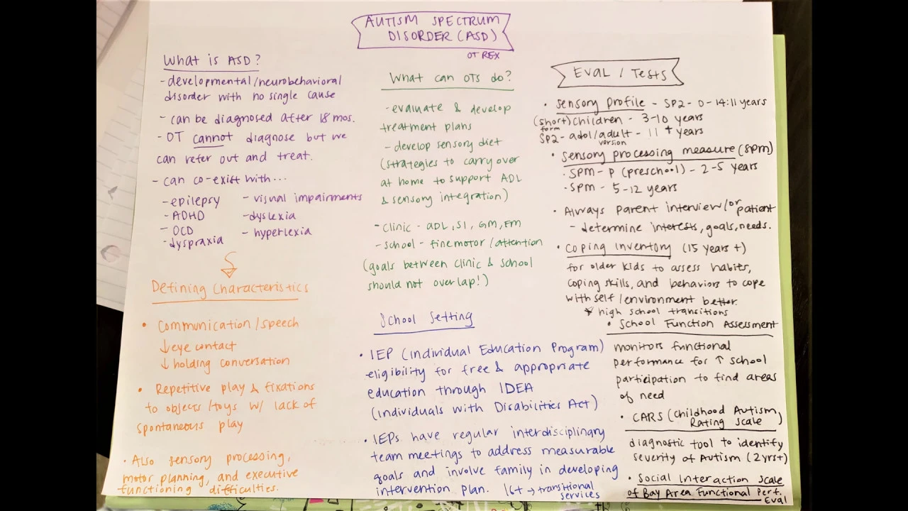 Autism Spectrum Disorder Overview