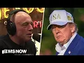 How is this legal MAGA-allied manosphere bros DUMBSTRUCK by Trump s new corruption plot