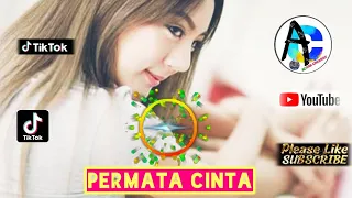 Download DJ TIK-TOK 🎶 - PERMATA CINTA MP3