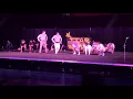 SAE Spring Sing 2018