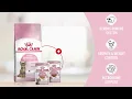 Your sterilised kitten has different cat food needs - Royal Canin India Sterilised Kitten