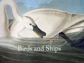 Birds and Ships