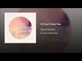 Download Lagu Shawn Mendes - If I Can't Have You (Audio)