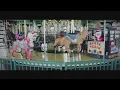 Kingsport Carousel A dream carved into reality