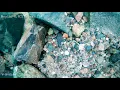 The Mystery at the Bottom of Gardner Lake