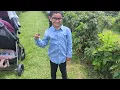BlackBerry picking Dothan AL Aplin farms