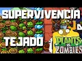 Plants VS Zombies DS - Supervivencia - Tejado