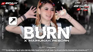 dj party burn x maimunah reborn viral karnaval 2026 by ds funduraction x si phaanie remix
