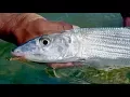 Conserving the Flats with BTT Bonefish Catch Release