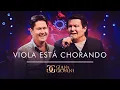 Download Lagu Gian e Giovani - Viola esta chorando