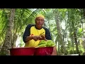 Download Lagu Kue Koci Belimbing Khas Kebumen | JEJAK SI GUNDUL (20/12/18) Part 1