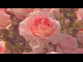 Vancouver Sleep Clinic - Killing Me To Love You (Lyrics)