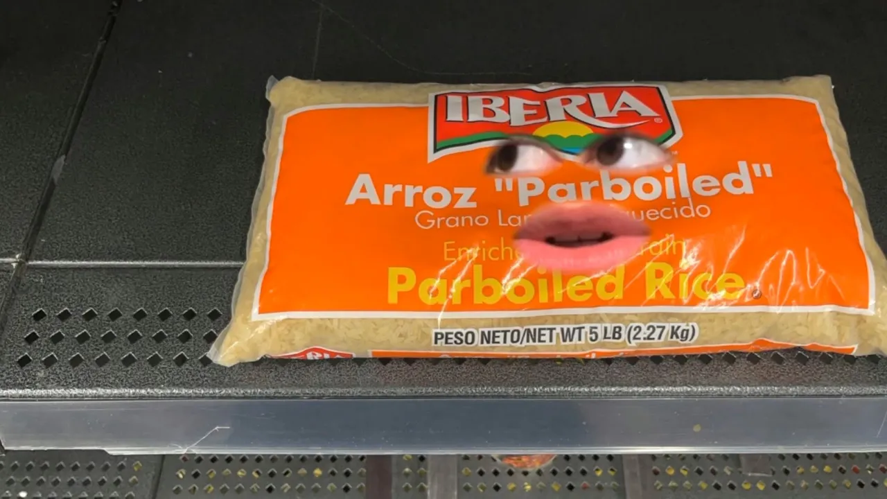 Life of A Rice Bag