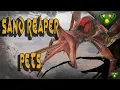 Outdated Where to Buy A Sand Reaper Conan Exiles 2019