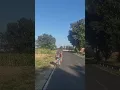 Download Lagu Što to voziš Moko? #shorts