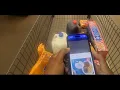 How I Shop Deliver with the Spark App Walmart Grocery POV Experience
