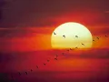 Quien Fuera -Silvio Rodriguez-