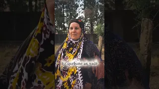 شهروز حمي şehroz Hemê Yadê Yadê 