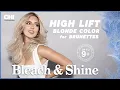 Ultimate Brunette to Blonde with CHI Bleach Shine