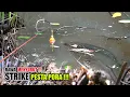 Download Lagu Rawanya surut!!! Beginilah spot mancing yang paling dicari #SG-248